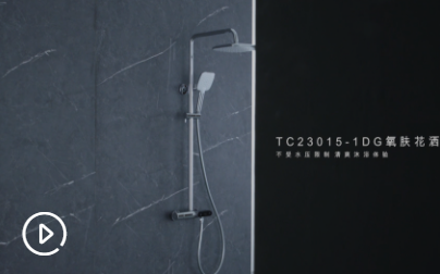 TC23015-1DG恒温淋浴器